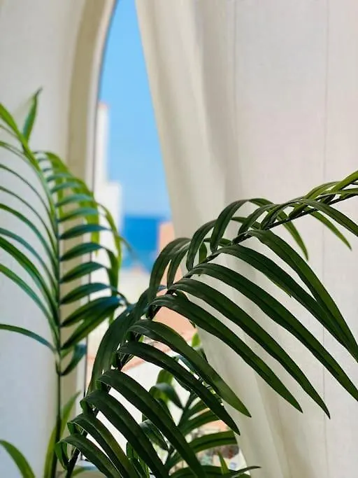 Casa Vacanza Fronte Mare Con Giardino Privato - Canneto - Lipari 0*, Canneto (Lipari) Italia